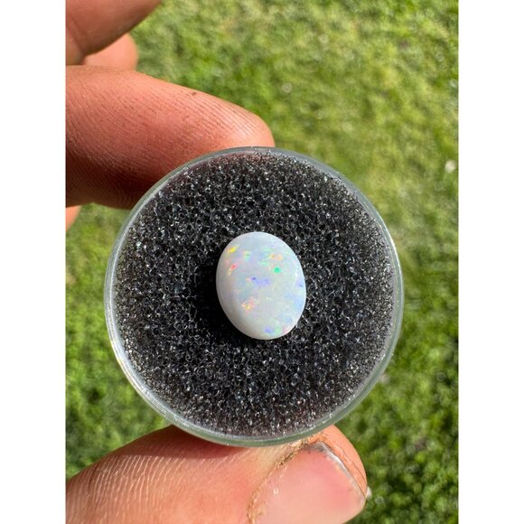 Australian Opal Cabochon - 0.90 carat in Display Box #197 - Picture 2 of 7